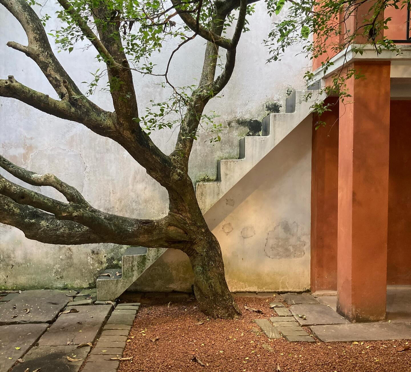 Landscape Construction Melbourne